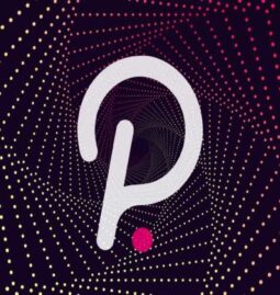 Polkadot: 7 Tips About This Popular Cryptocurrency