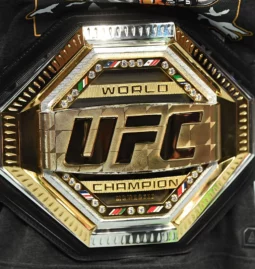 UFC Heavyweight Champion: The Incredible Things You Need To Know About This Title In 2022
